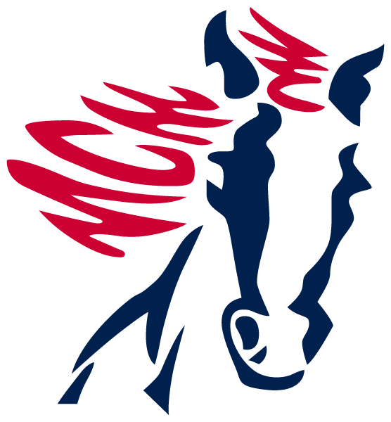 MALLARD CREEK HIGH SCHOOL Logo