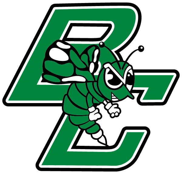 BROWN COUNTY HIGH SCHOOL Logo