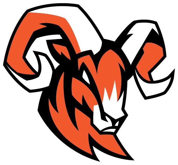 MOUNT VERNON TOWNSHIP HIGH SCH RAMS - MOUNT VERNON, ILLINOIS - Sideline ...
