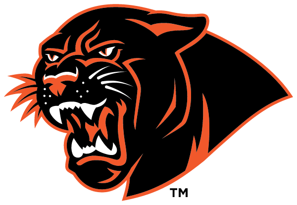 NEW LEXINGTON HIGH SCHOOL Logo