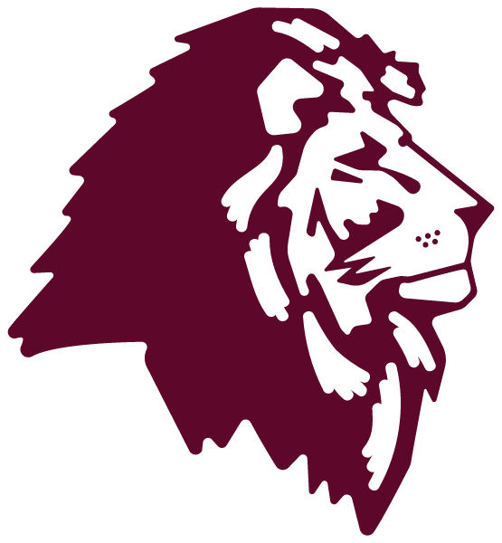 LYONS CENTRAL HIGH SCHOOL Logo