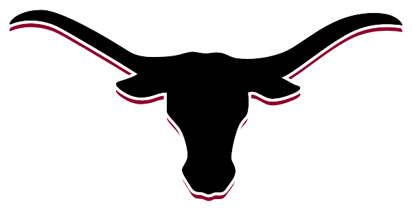 BUENA VISTA HIGH SCHOOL Logo