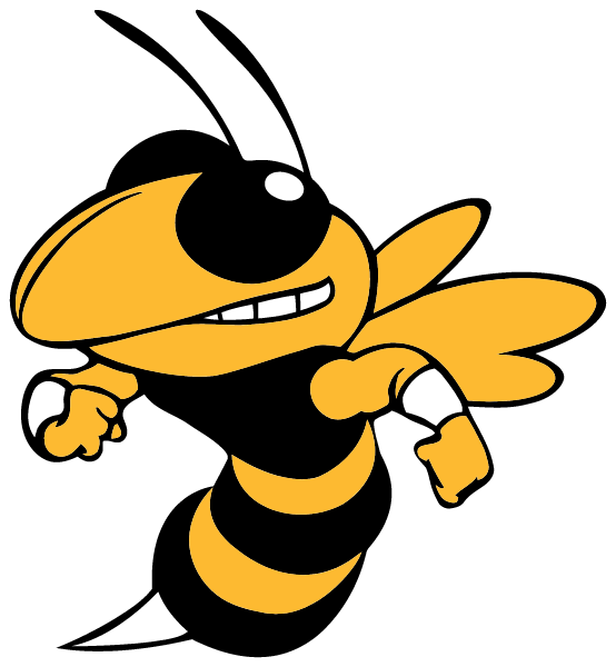 NEW ATHENS COMMUNITY HIGH SCHOOL Logo