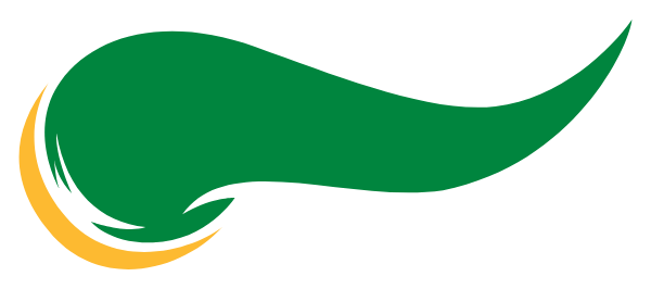 PARKVIEW HIGH SCHOOL Logo