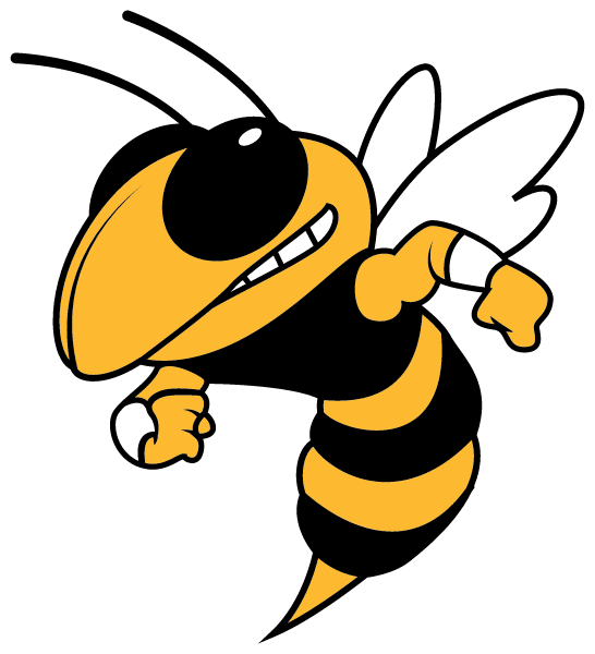 TAYLOR HIGH SCHOOL Logo
