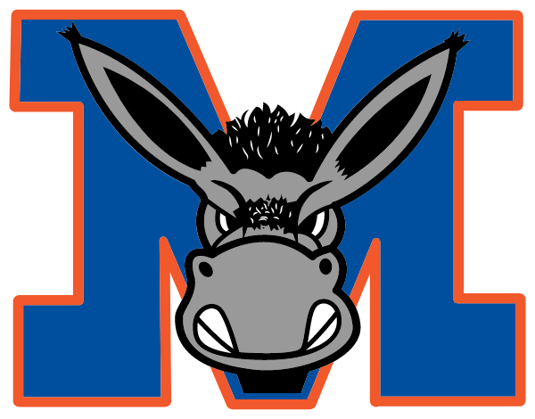 MALVERNE HIGH SCHOOL Logo