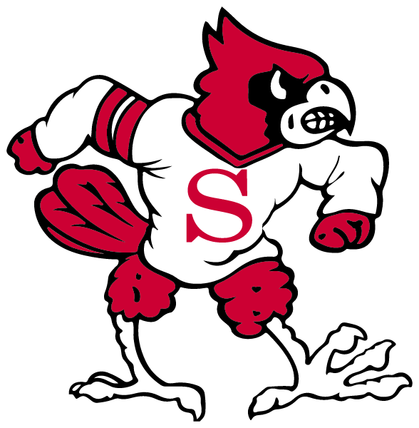 STEWARTSVILLE C-2 HIGH Logo