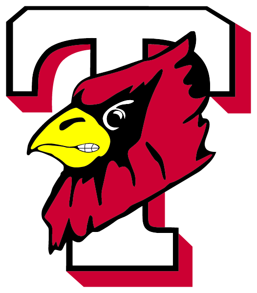 TRIAD HIGH SCHOOL Logo