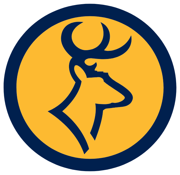 ROSCOMMON HIGH SCHOOL Logo