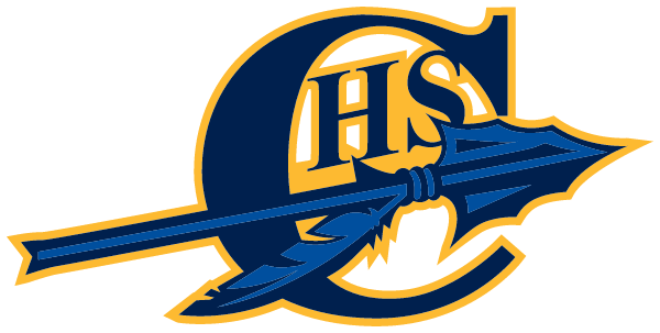 CARRICK HIGH SCHOOL Logo