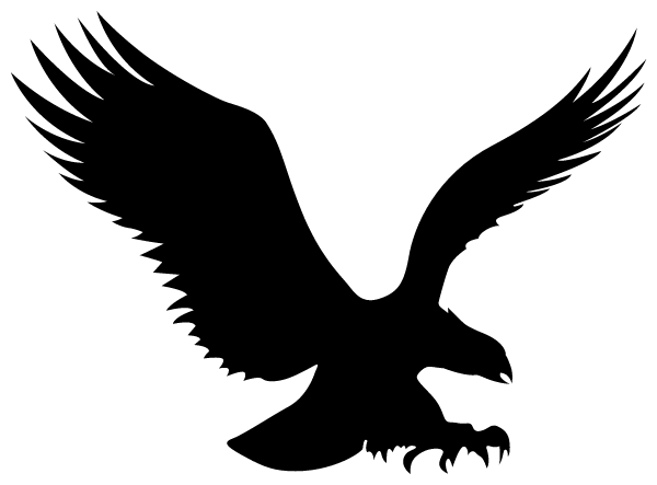 JUNCTION HIGH SCHOOL Logo