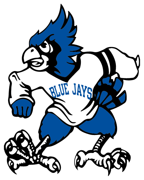 IRON COUNTY C-4 HIGH SCHOOL Logo