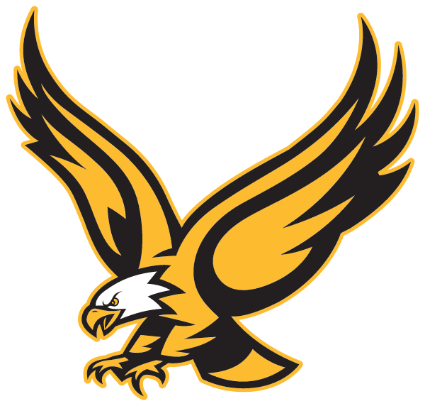 VIENNA HIGH SCHOOL Logo