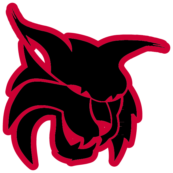 LINCOLN COUNTY HIGH SCHOOL Logo