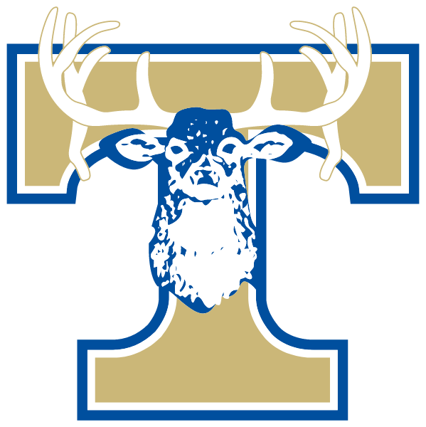 TIVY HIGH SCHOOL Logo