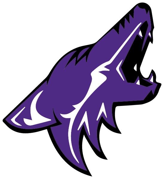 ANNA HIGH SCHOOL Logo