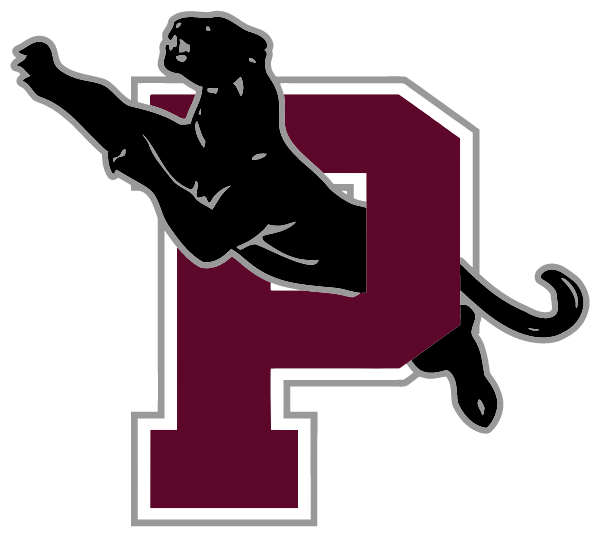PAULDING EX VILLAGE HIGH Logo