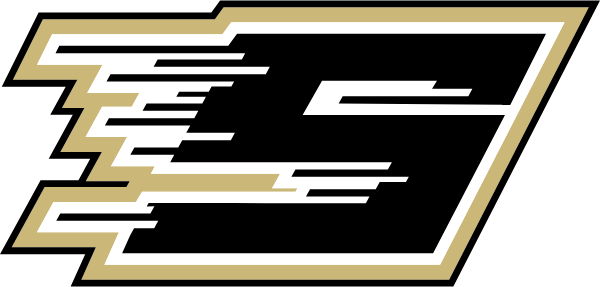 LASALLE HIGH SCHOOL Logo