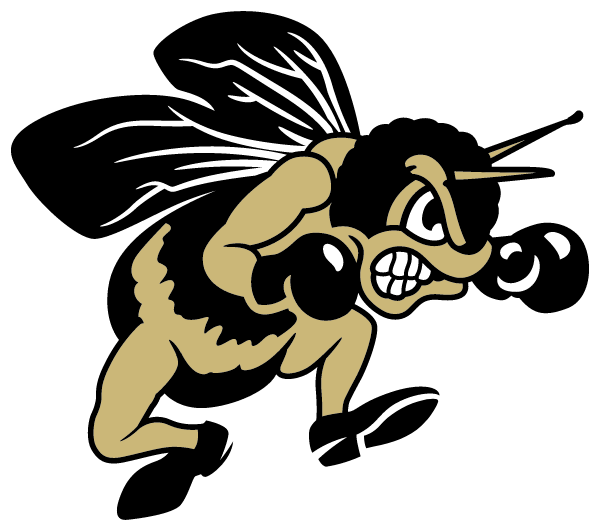 PERRYSBURG HIGH SCHOOL Logo
