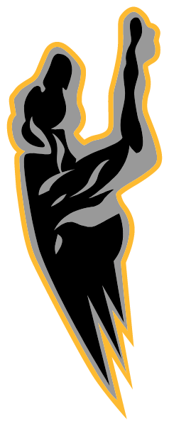 WINDSOR R-1 HIGH SCHOOL Logo