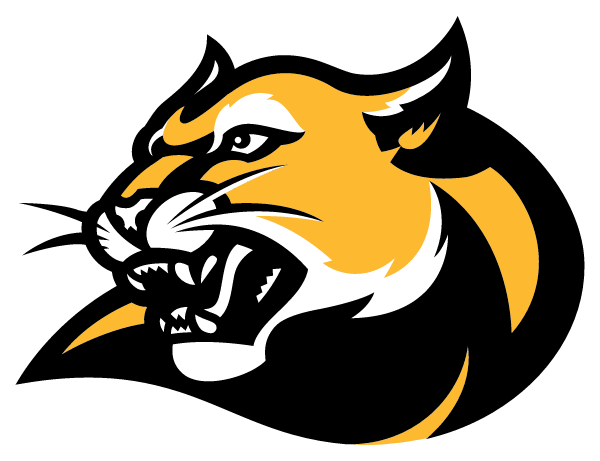 DREYFOOS SCHOOL OF THE ARTS Logo