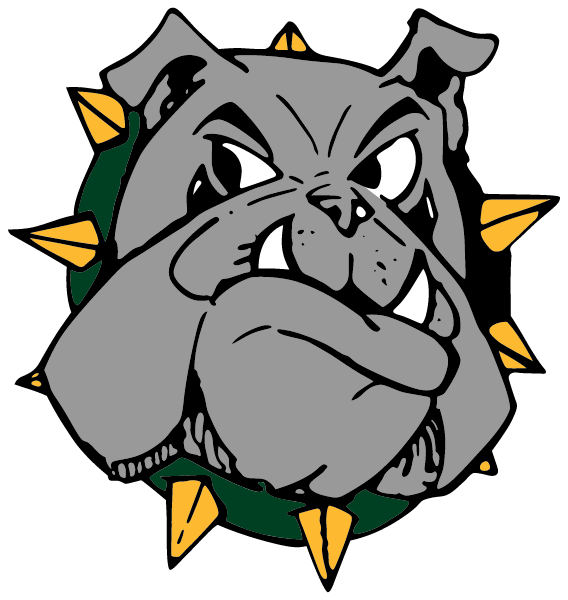 ZALMA HIGH SCHOOL Logo