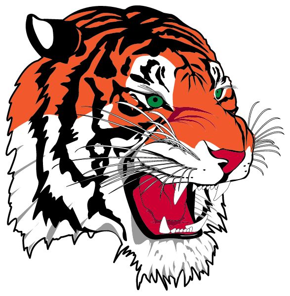 SHELBY HIGH SCHOOL Sideline Store Tigers (SHELBY, Michigan) Spirit Apparel & Accessories Store