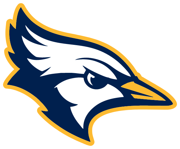 SHEPHERD PUBLIC HIGH SCHOOL Logo