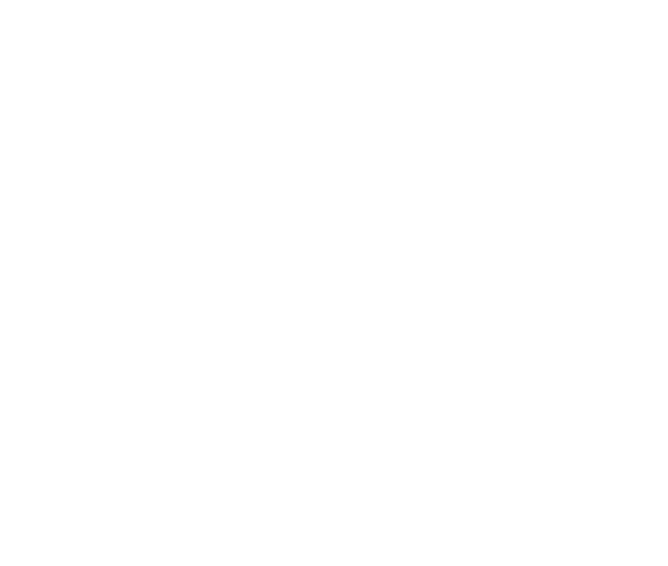 MAUI HIGH SCHOOL Logo