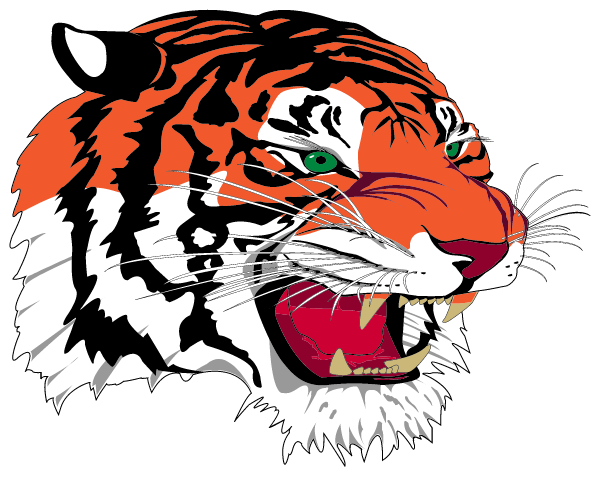 LANCASTER HIGH SCHOOL Logo