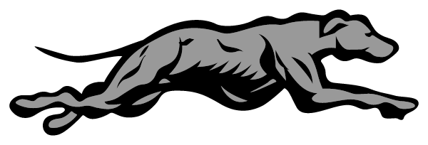 LINCOLN PARK ACADEMY Logo