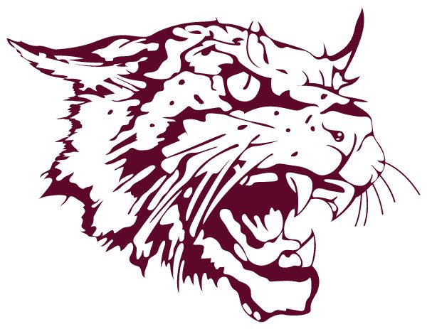 CLEAR CREEK HIGH SCHOOL Sideline Store Wildcats (LEAGUE CITY, TEXAS) Spirit Apparel & Accessories Store