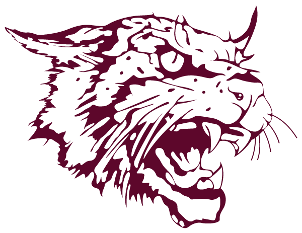 CLEAR CREEK HIGH SCHOOL Logo