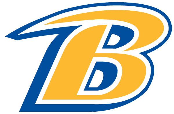BRUCE HIGH SCHOOL Logo
