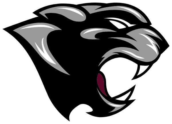 SOUTH IRON HIGH SCHOOL Logo