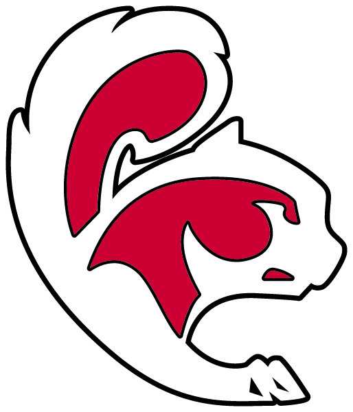 CENTRAL CASS HIGH SCHOOL Logo