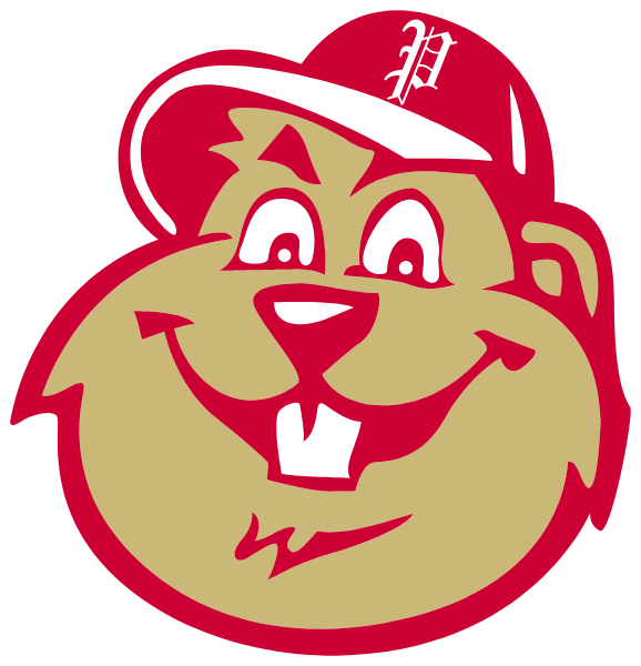 PUNXSUTAWNEY AREA HIGH SCHOOL Logo