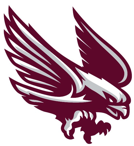 RADNOR HIGH SCHOOL Sideline Store Raptors (WAYNE, Pennsylvania) Spirit Apparel & Accessories Store