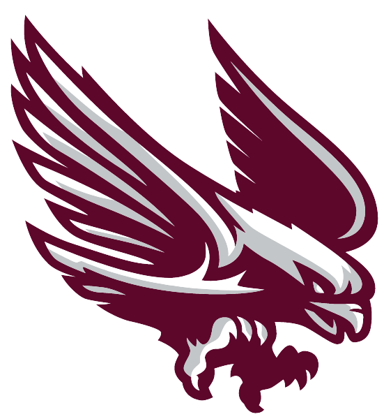 RADNOR HIGH SCHOOL Logo