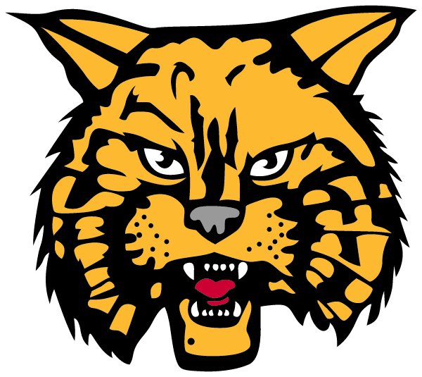 BYRAM HILLS HIGH SCHOOL Logo