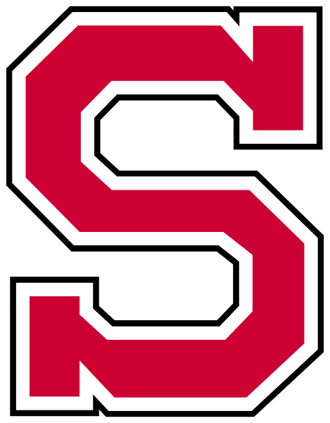 SALEM HIGH SCHOOL Logo