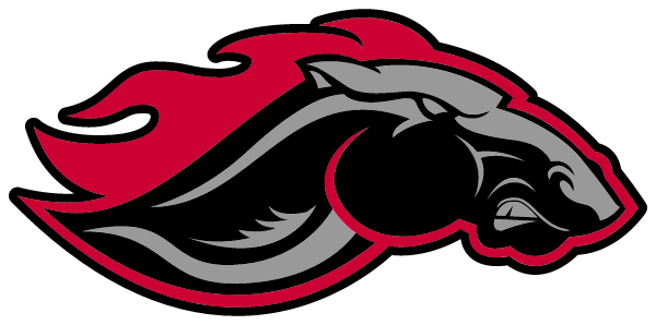 TROY HIGH SCHOOL Logo