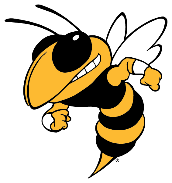 VANDERBILT AREA HIGH SCHOOL Logo
