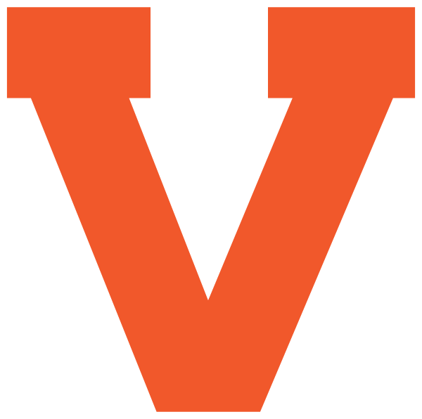 VASSAR HIGH SCHOOL Logo