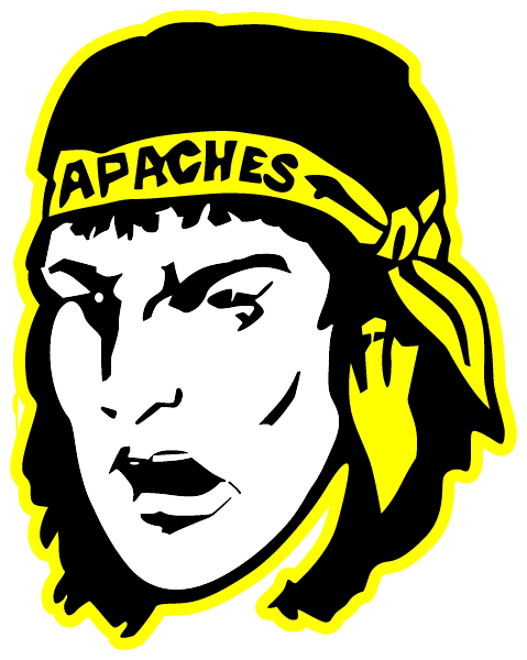 FAIRVIEW HIGH SCHOOL Logo
