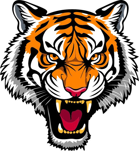 ELSINORE HIGH SCHOOL Sideline Store Tigers (WILDOMAR, California) Spirit Apparel & Accessories Store