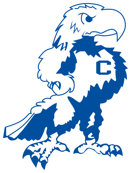 VALLEY STREAM CENTRAL HIGH Logo