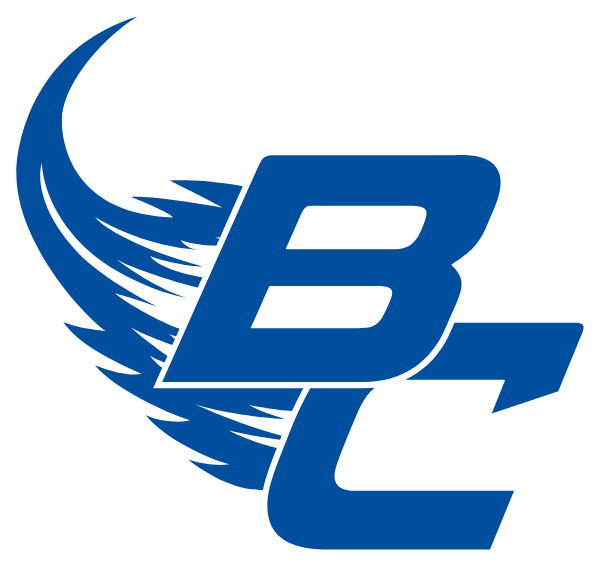 BELLEVUE COMMUNITY HIGH SCHOOL Logo