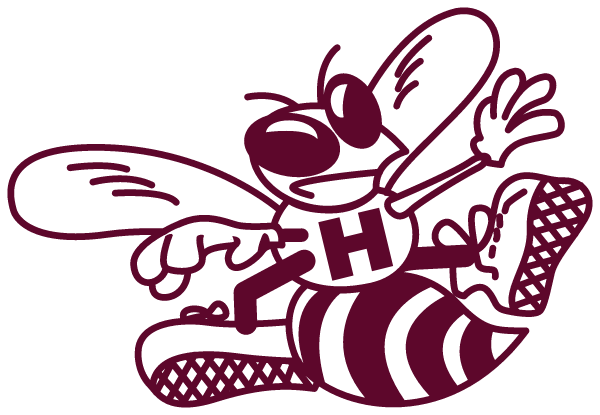 HUDSON HIGH SCHOOL Logo