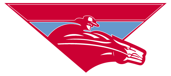 LUMBERTON HIGH SCHOOL Logo